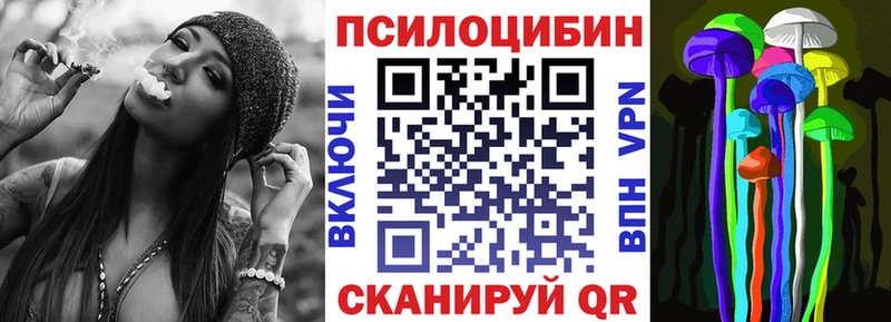 Псилоцибиновые грибы Psilocybine cubensis  даркнет сайт  Курлово 